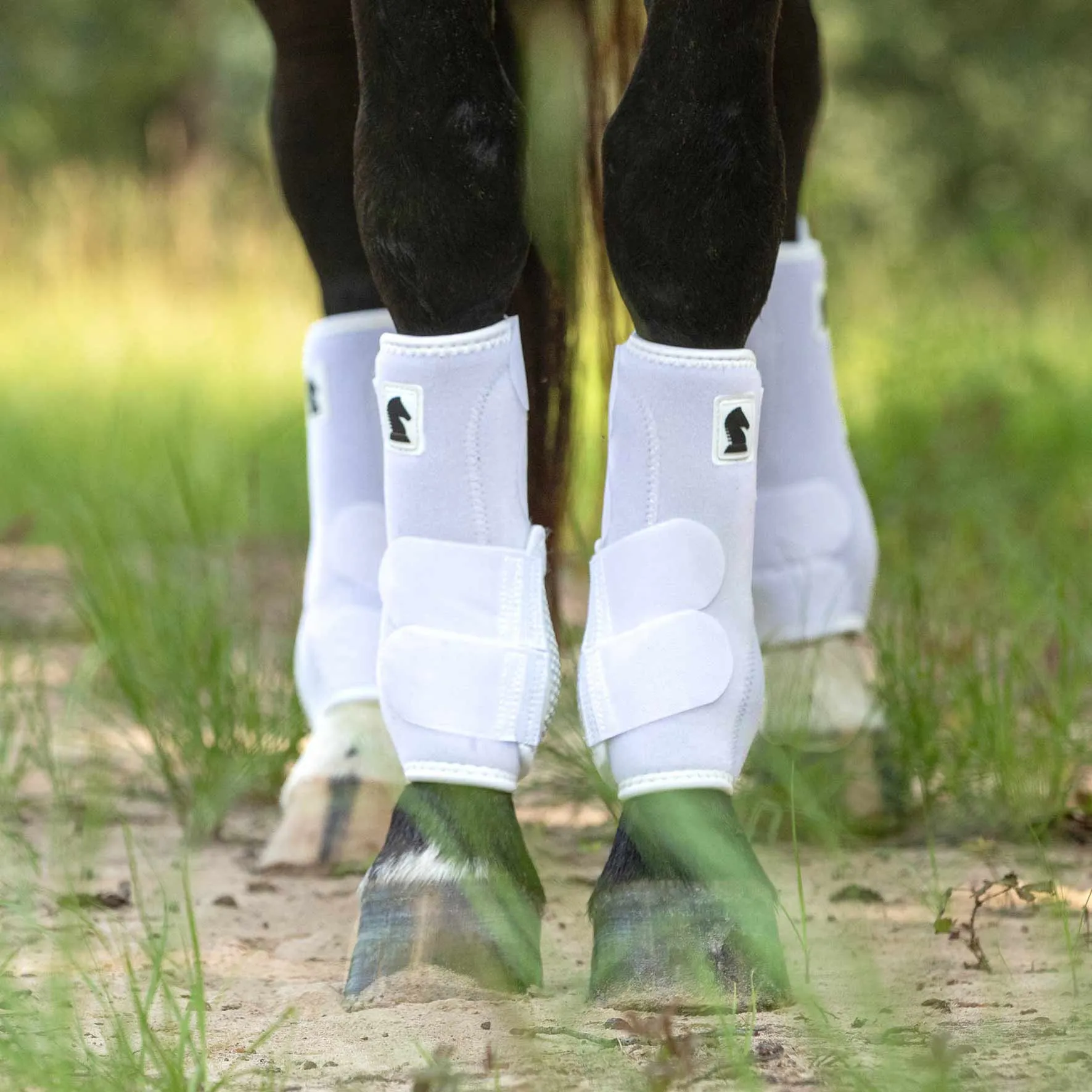 Classic Equine Legacy 2 Front Boots, Large