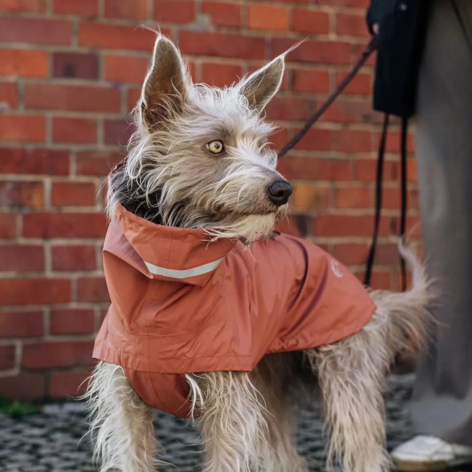 Dog Raincoat Hamburg