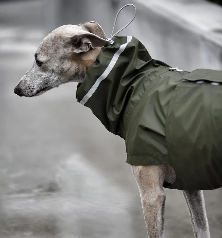 Dog Raincoat Hamburg