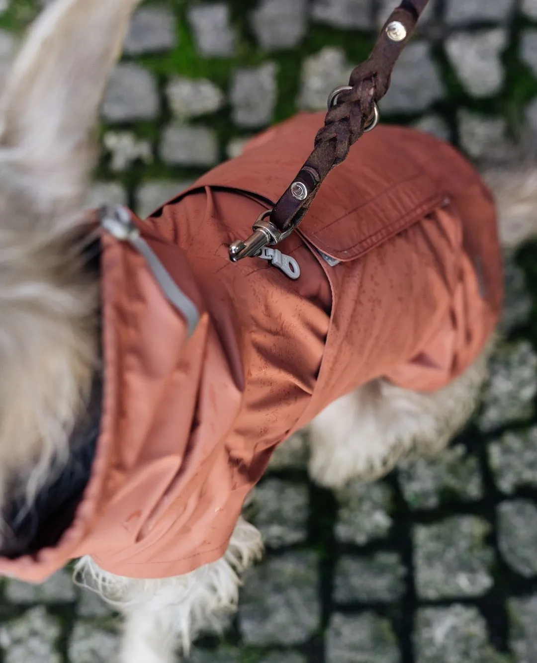 Dog Raincoat Hamburg