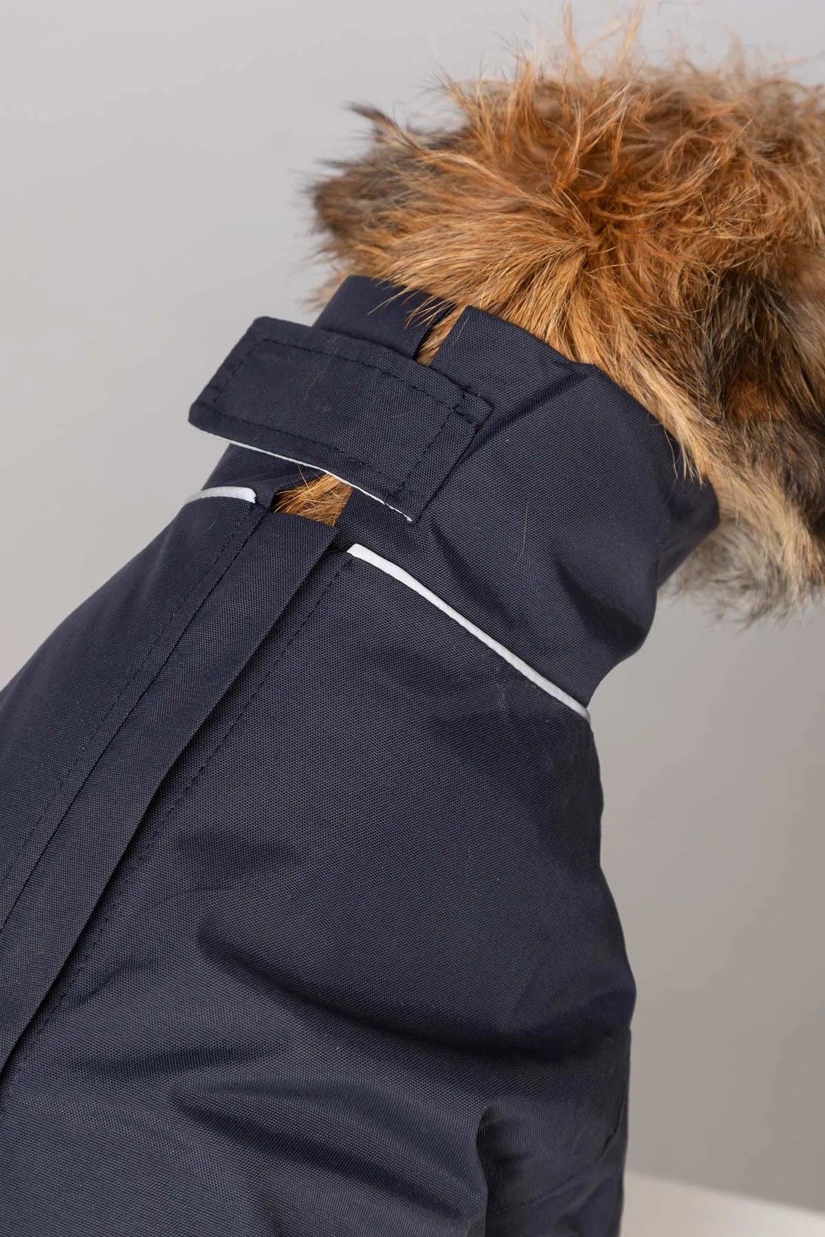 Dog Raincoats - Yapham