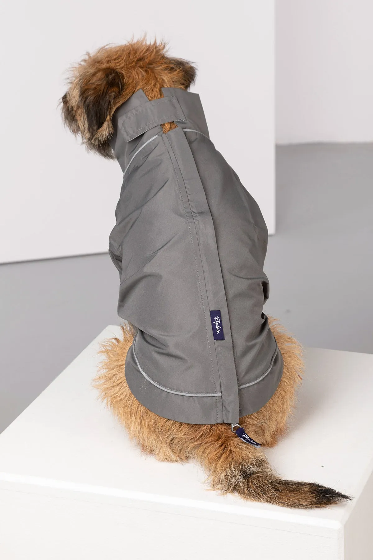 Dog Raincoats - Yapham