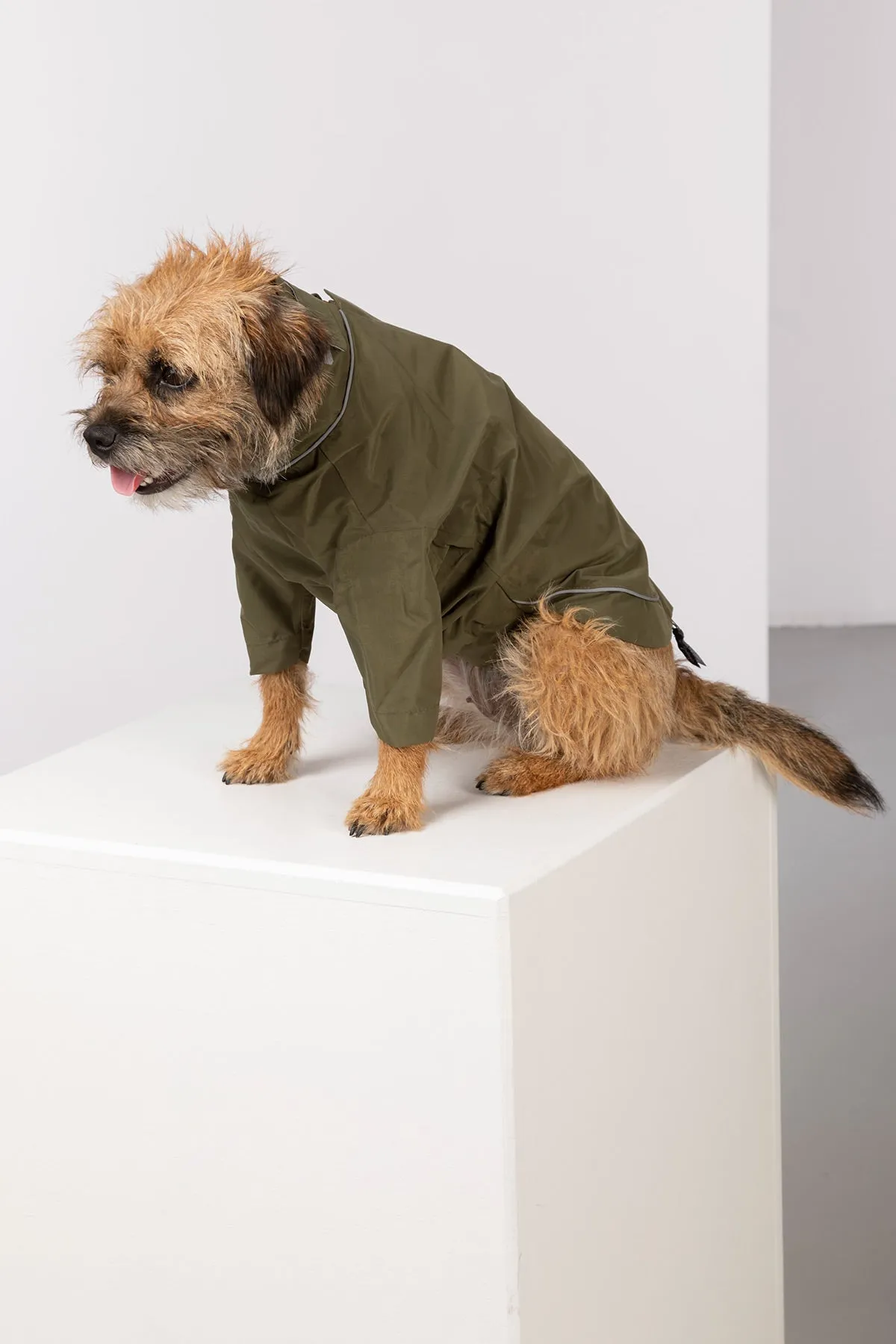 Dog Raincoats - Yapham