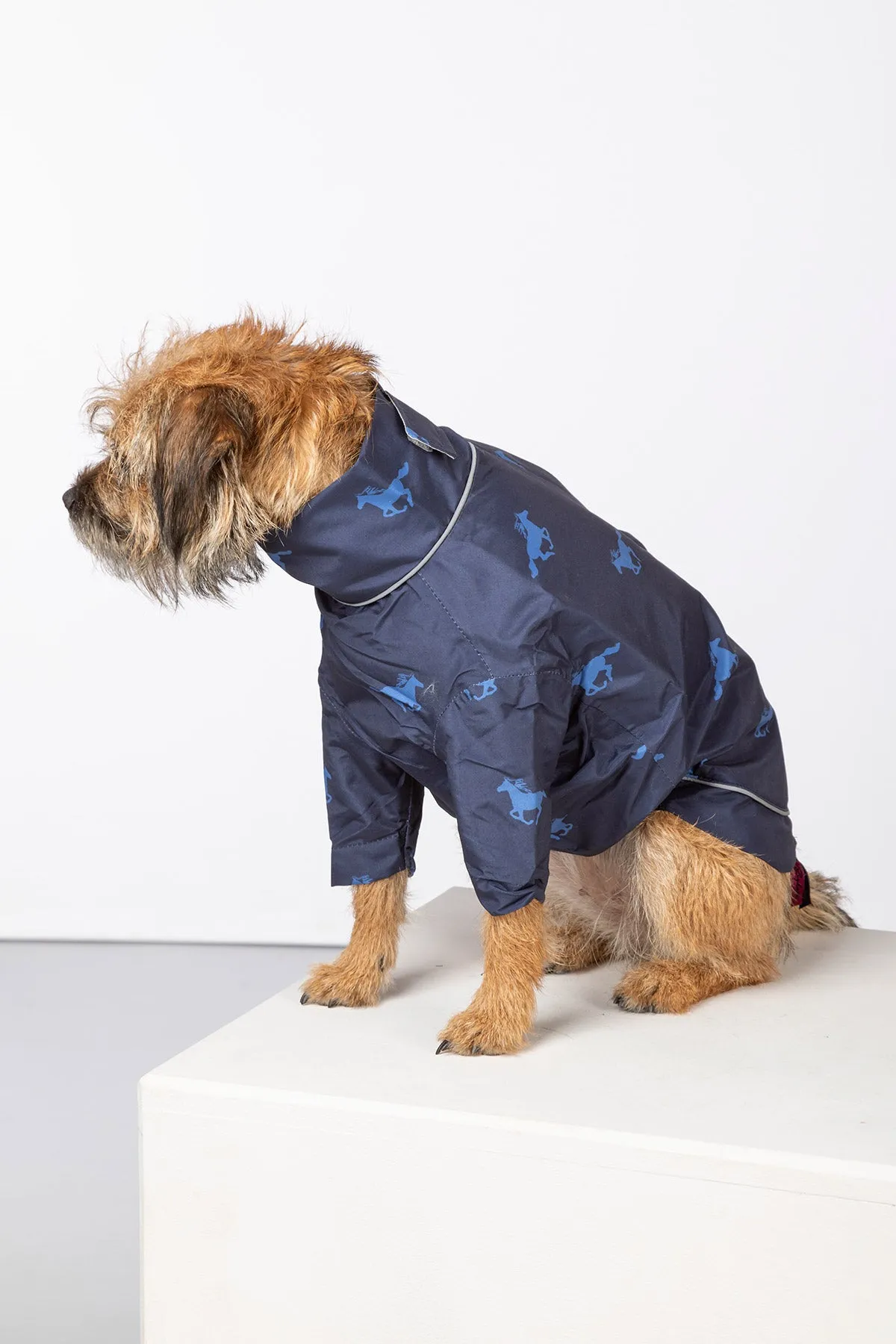 Dog Raincoats - Yapham