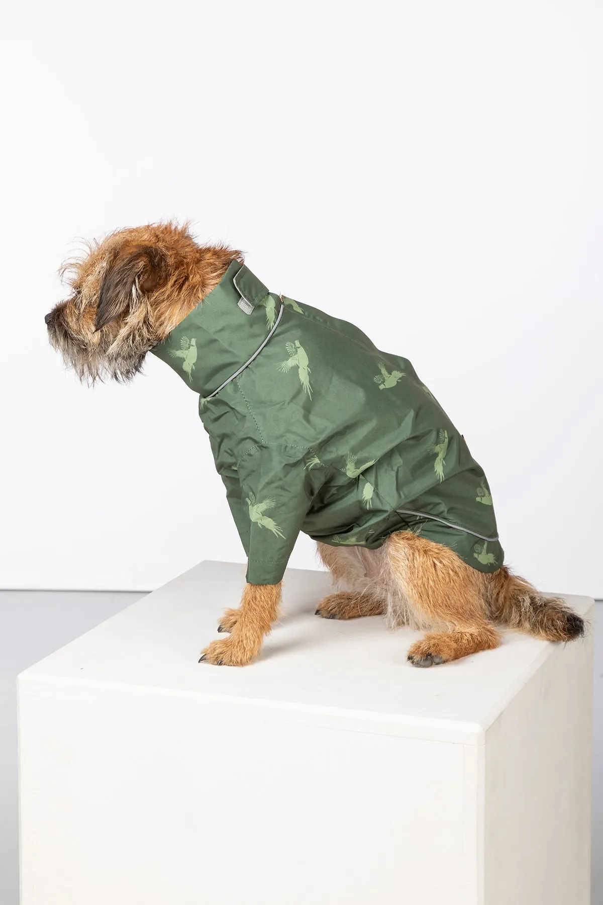 Dog Raincoats - Yapham