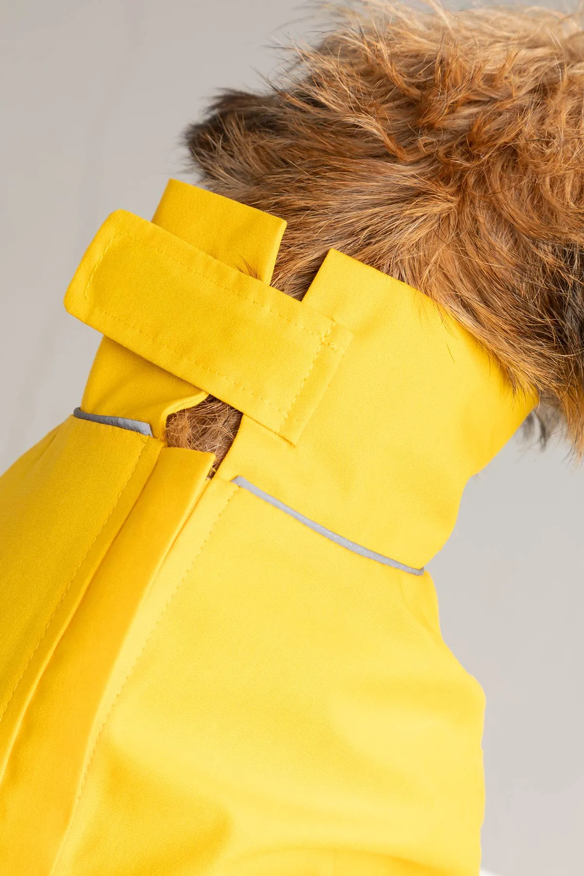 Dog Raincoats - Yapham