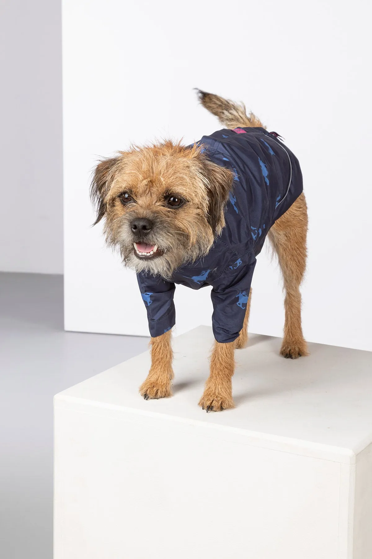 Dog Raincoats - Yapham