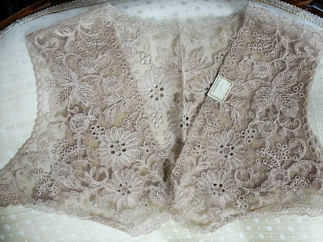 GORGEOUS 20-30s French Lace Bolero Collar Capelet Tambour Embroidered Lace Flowers Gatsby Flapper Downton Abbey Bridal Lace Vintage Clothing