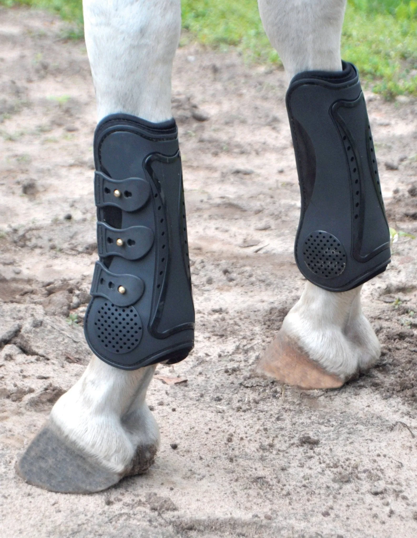 Jeffers Uniquely English Horse Tendon Boots 2-Pack, Medium