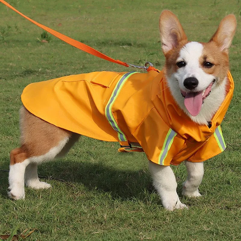 "Raining Cats and Dogs" Reflective Pet Raincoat