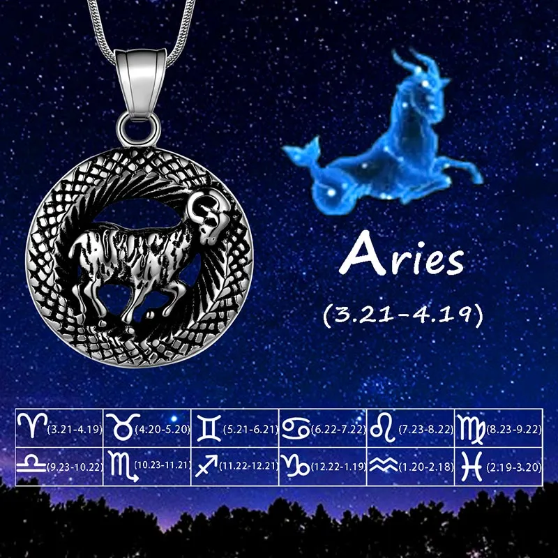 Tokyo Mart Men Zodiac Aries Necklace Pendant Star Sign Constellation Jewelry Women Boys Girls Birthday Gift