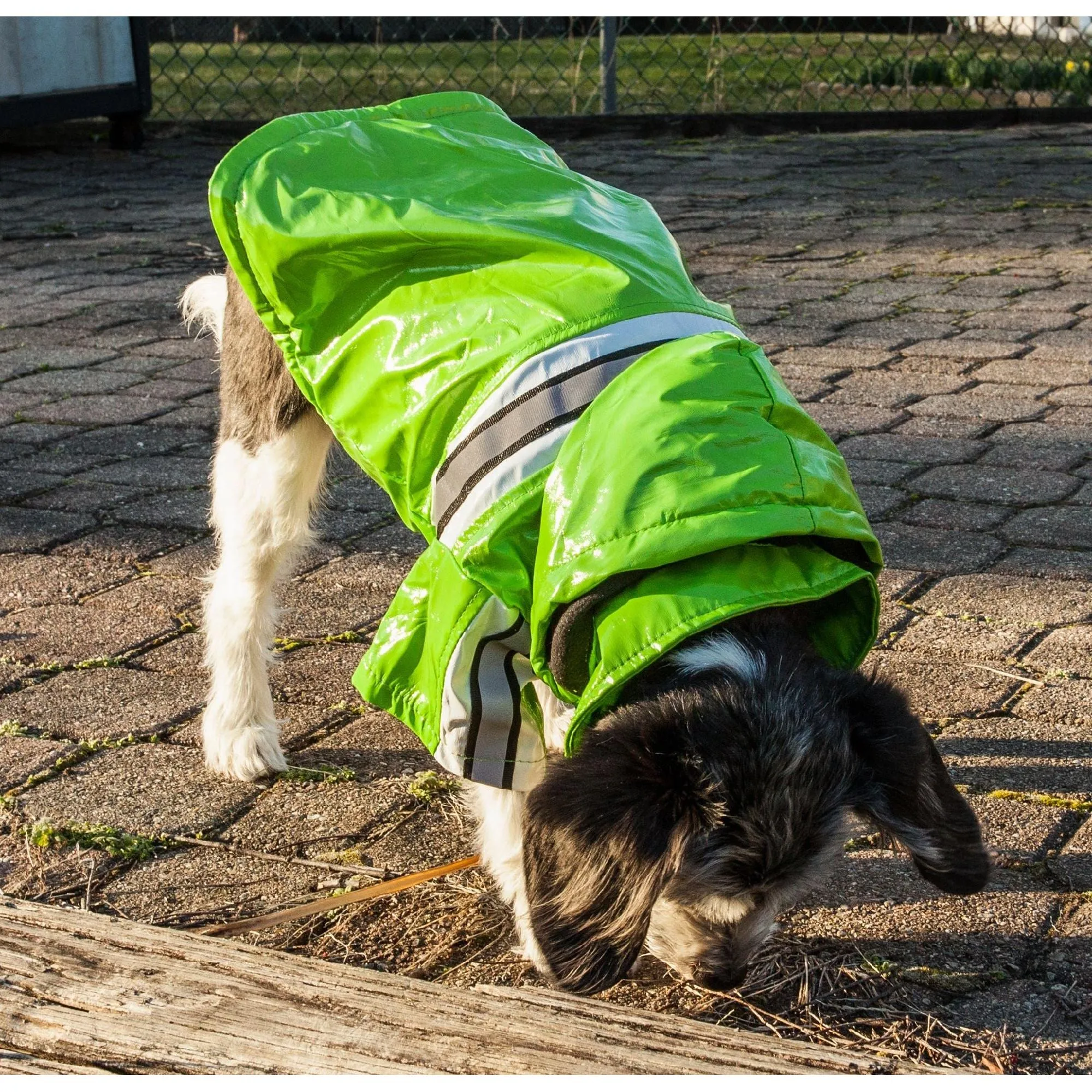 Waterproof Pet Raincoat